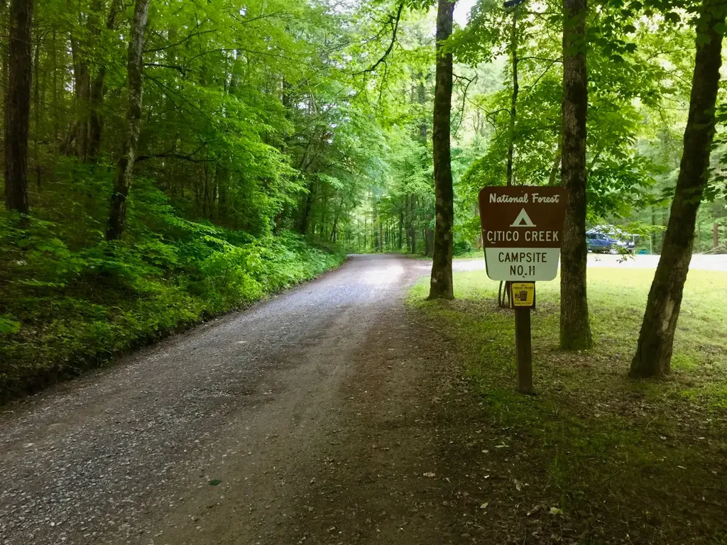 Cherokee forest