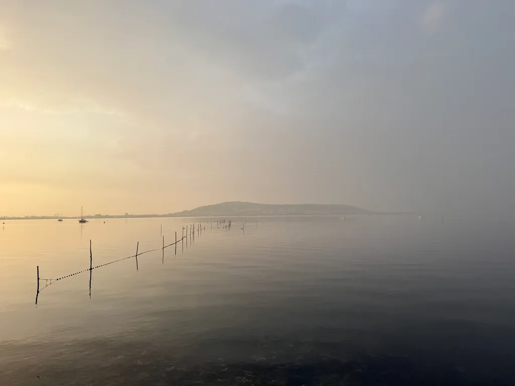 Brume