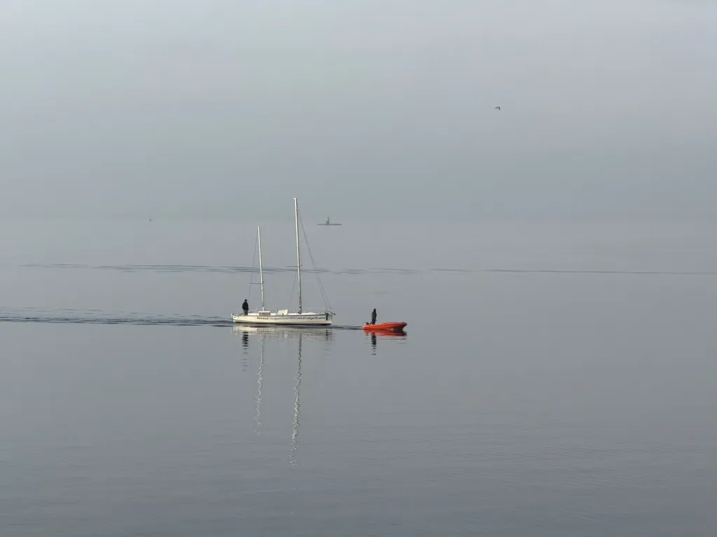 Brume