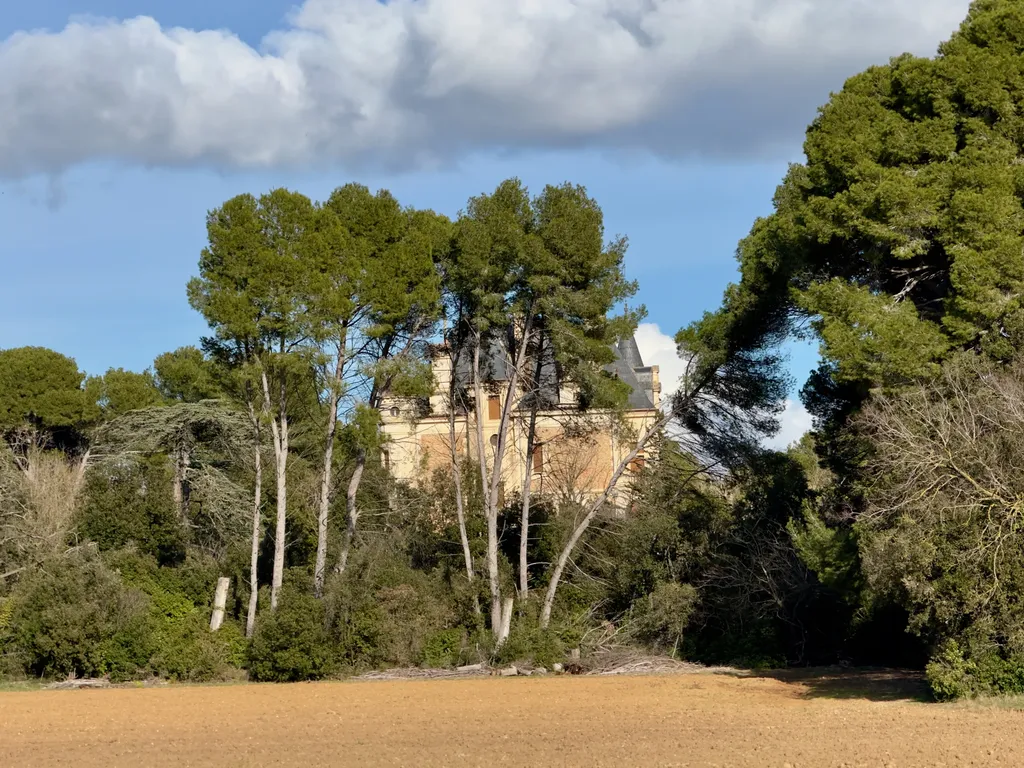 Pomerols