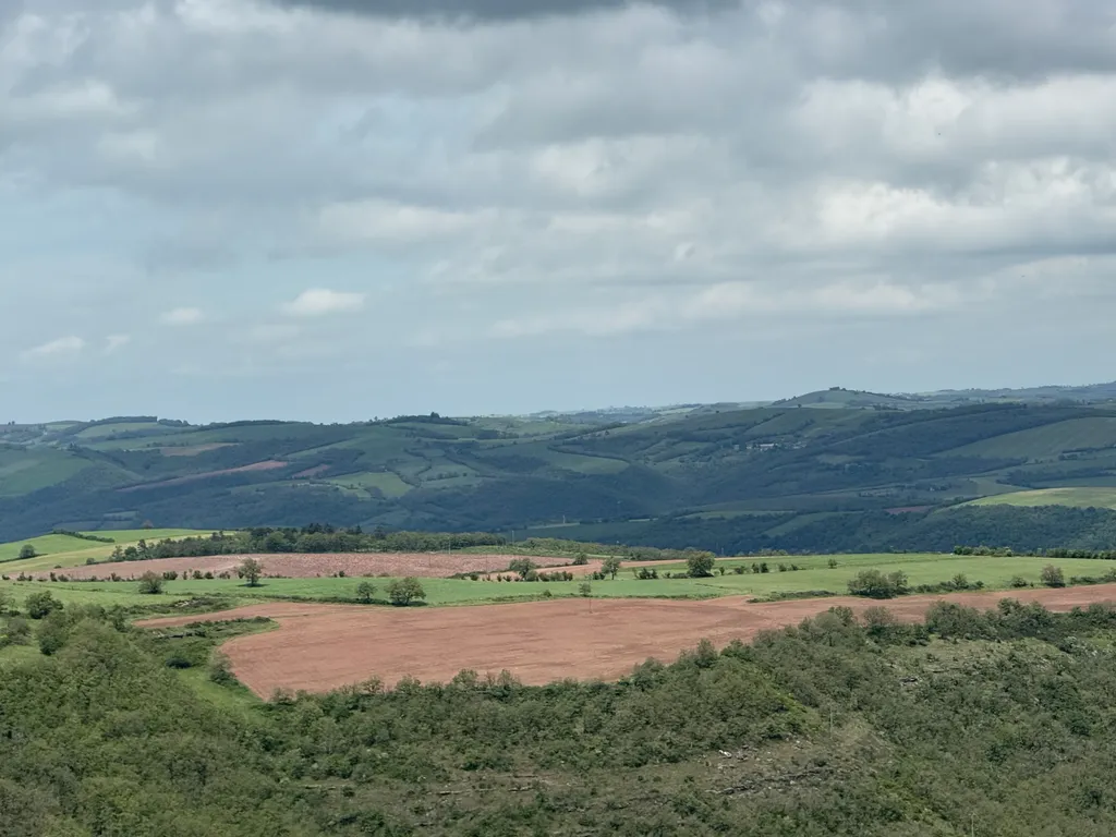 Rougier