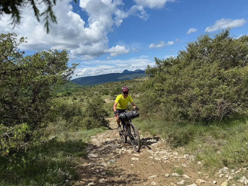 Garrigues